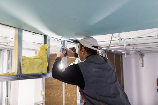 Best Soundproof Insulation  in Satellite Beach, FL