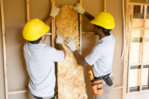 Best Eco-Friendly or Green Insulation Solutions  in Satellite Beach, FL